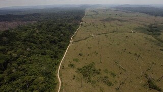 brazilia amazonsky prales ilu (SITA/AP)